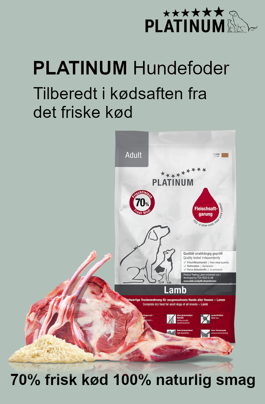 PLATINUM Hundefoder